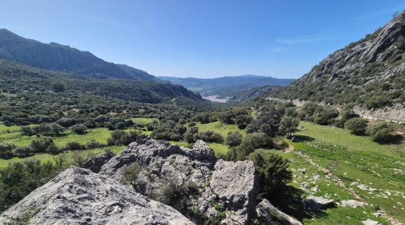 Cádiz - Benaocaz - 38000m2
