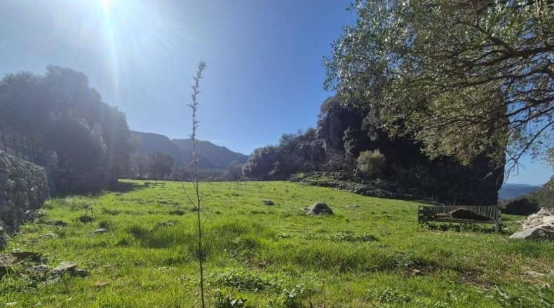 Cádiz - Benaocaz - 38000m2