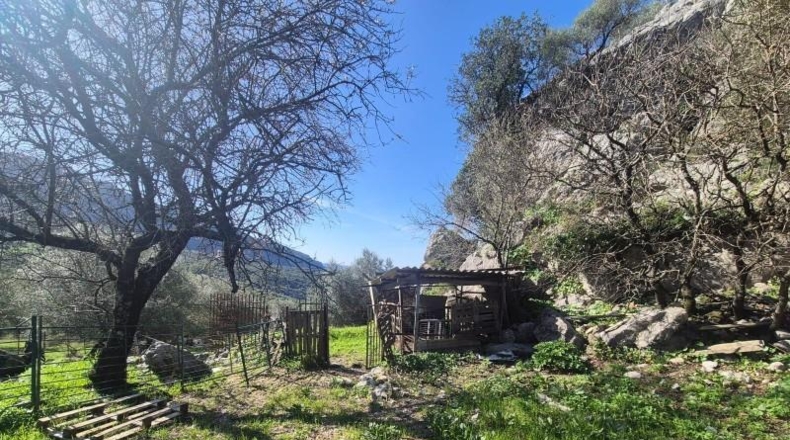 Cádiz - Benaocaz - 38000m2