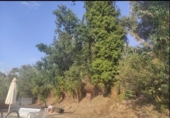 Xalet independent amb terreny en venda a la España, Jaén, ref.: TR408201 foto