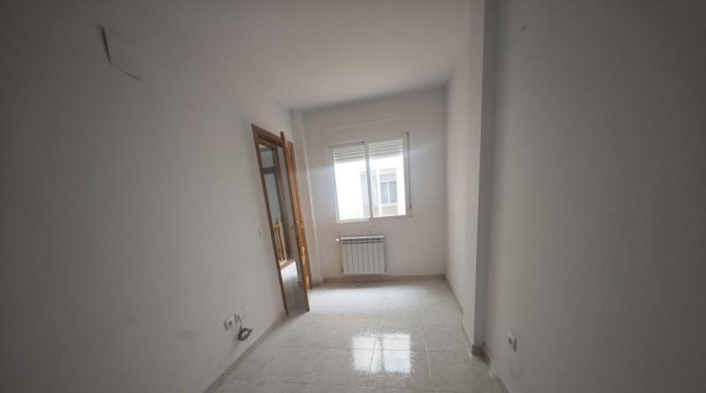 Cáceres - Malpartida de Plasencia - 242m2