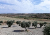 Urban land for sale on España, Güéjar Sierra, ref: TR407513 photo