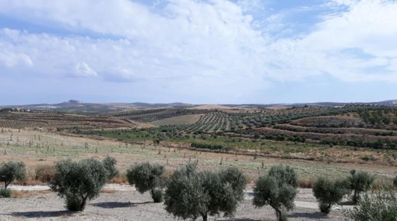 Granada - Güéjar Sierra - 985m2
