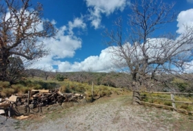 Laroles 10000&nbsp;m²