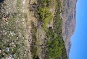 Guadix 200&nbsp;m²