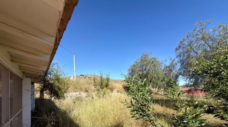 Murcia - Cartagena - 1396m2