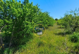 Albaida 56370&nbsp;m²