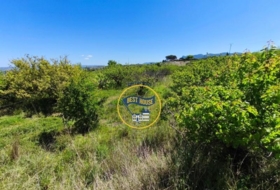 Albaida 56370&nbsp;m²