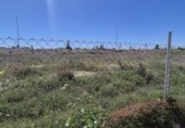 Sòl urbà en venda a la España, Elx, ref.: TR288040 foto