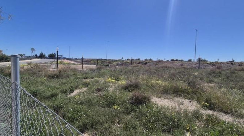 Alicante - Elche - 250m2
