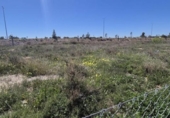 Sòl urbà en venda a la España, Elx, ref.: TR288040 foto