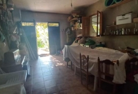 Foto 19