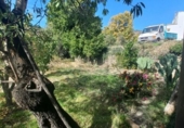 Casa de camp amb terreny en venda a la España, Cádiar, ref.: TR361751 foto