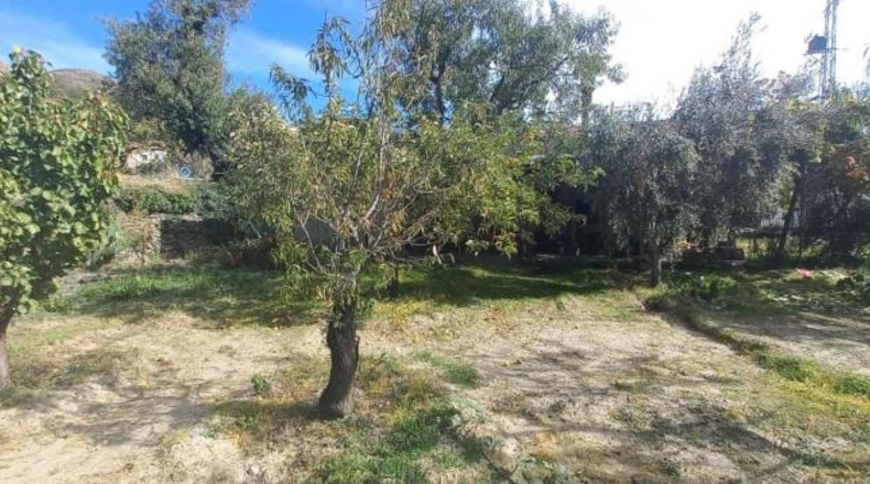 Granada - Cádiar - 2500m2