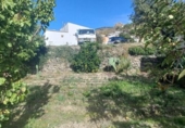 Casa de camp amb terreny en venda a la España, Cádiar, ref.: TR361751 foto