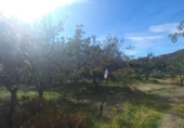 Casa de camp amb terreny en venda a la España, Cádiar, ref.: TR361751 foto
