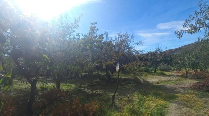 Granada - Cádiar - 2500m2