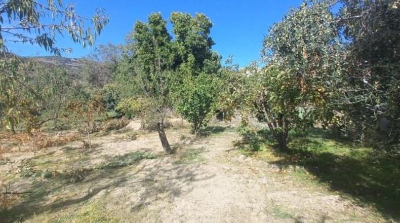 Granada - Cádiar - 2500m2