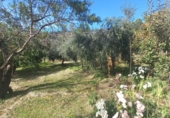 Casa de camp amb terreny en venda a la España, Cádiar, ref.: TR361751 foto