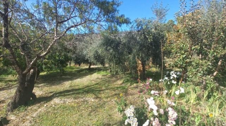 Granada - Cádiar - 2500m2