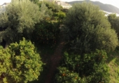 Chalet independiente con terreno en venta en la España, Dalías, ref: TR397904 foto