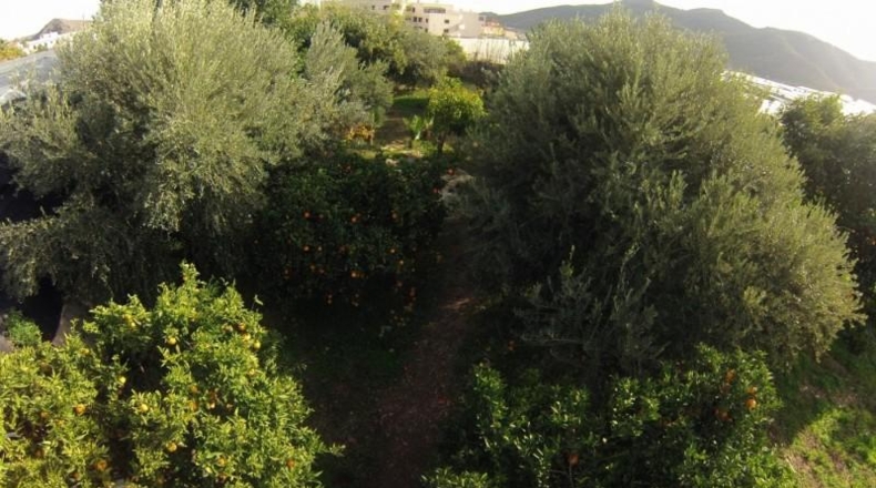 Illes Balears - Santa Eulalia del Río - 1200m2