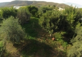 Chalet independiente con terreno en venta en la España, Dalías, ref: TR397904 foto
