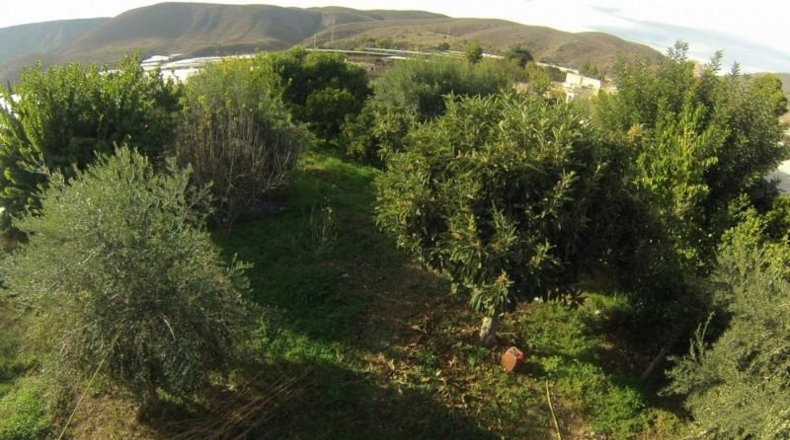 Illes Balears - Santa Eulalia del Río - 1200m2