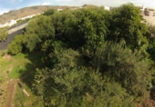 Chalet independiente con terreno en venta en la España, Dalías, ref: TR397904 foto