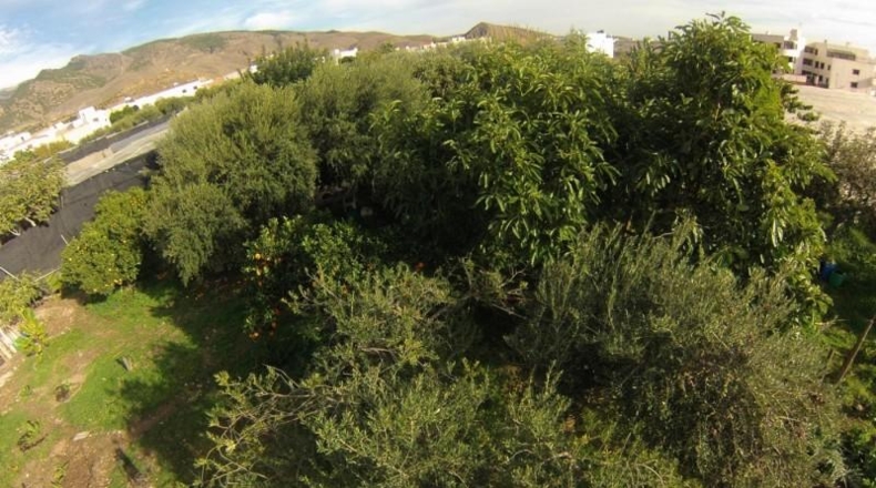 Illes Balears - Santa Eulalia del Río - 1200m2