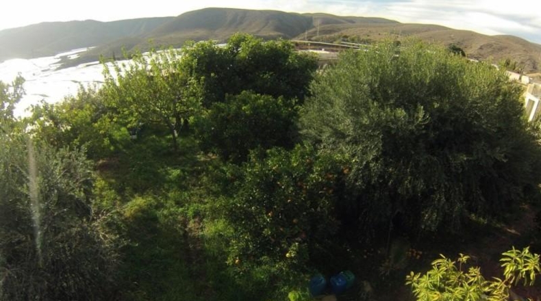 Illes Balears - Santa Eulalia del Río - 1200m2
