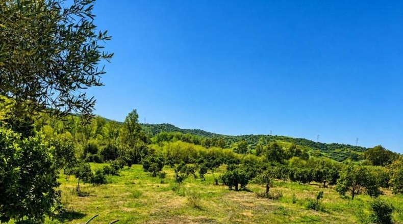 Cádiz - Jimena de la Frontera - 10258m2