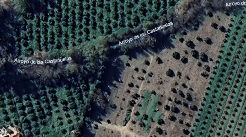 Cádiz - Jimena de la Frontera - 10258m2