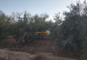 Xalet independent amb terreny en venda a la España, Elx, ref.: TR408252 foto