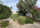 Отдельно стоящий дом с участком на продажу в городе Chiclana de la Frontera Фото