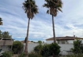 Отдельно стоящий дом с участком на продажу в городе Chiclana de la Frontera Фото