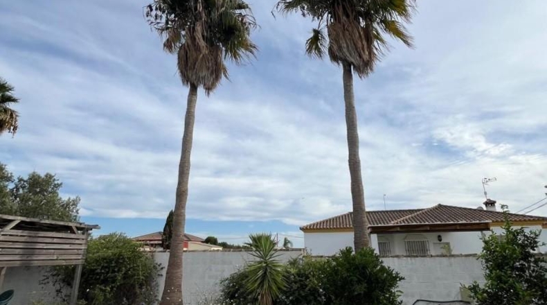 Cádiz - Chiclana de la Frontera - 900m2