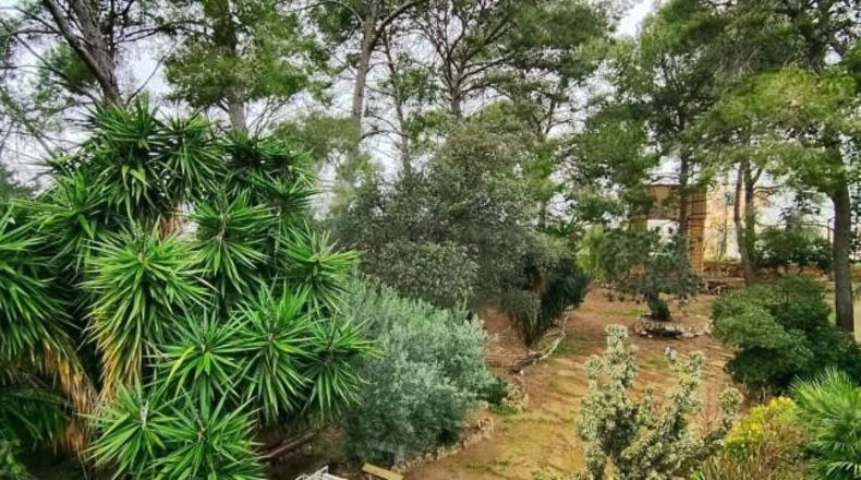 Tarragona - Tortosa - 24509m2