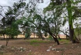 Tortosa 24509&nbsp;m²
