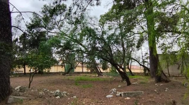 Tarragona - Tortosa - 24509m2