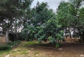Tortosa 24509&nbsp;m²