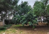 Casa de camp amb terreny en venda a la España, Tortosa, ref.: TR406068 foto