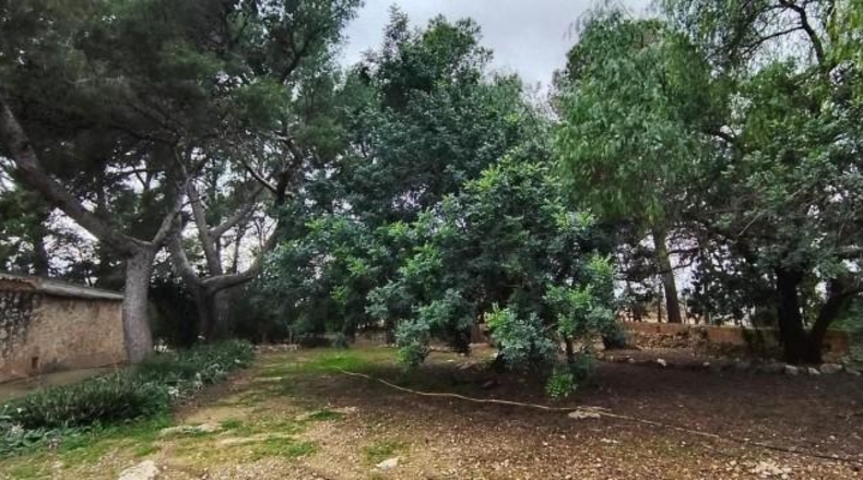 Tarragona - Tortosa - 24509m2