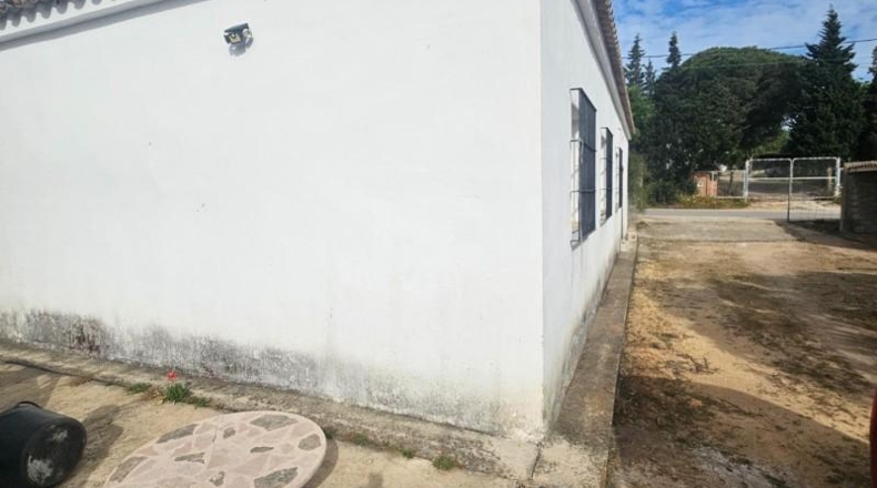 Cádiz - Vejer de la Frontera - 462m2