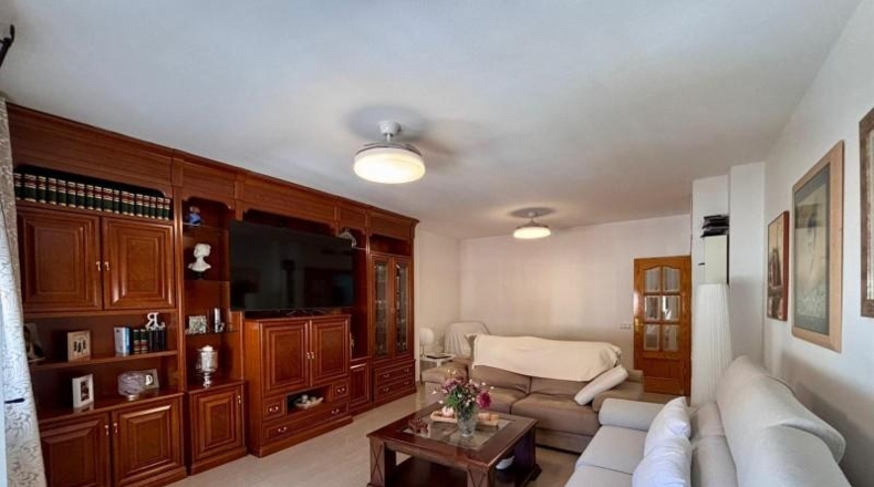 Murcia - Molina de Segura - 382m2