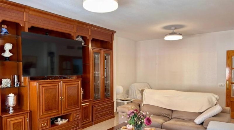 Murcia - Molina de Segura - 382m2