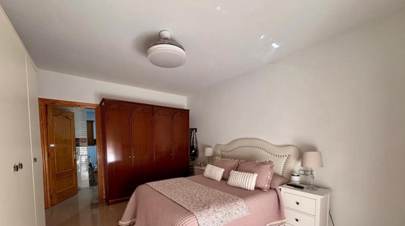 Murcia - Molina de Segura - 382m2