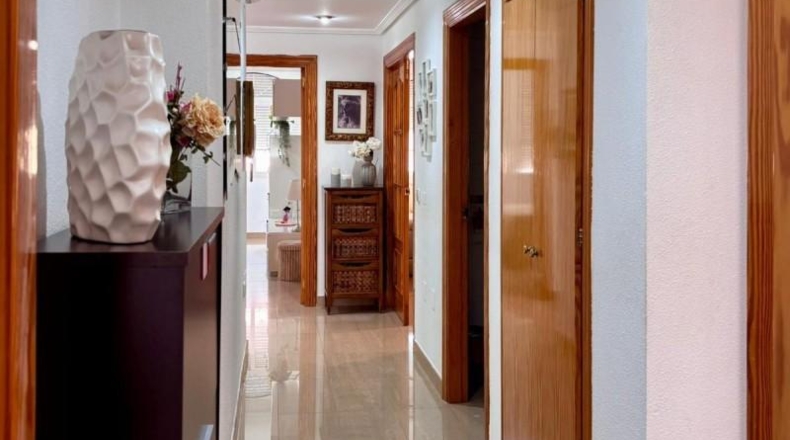 Murcia - Molina de Segura - 382m2