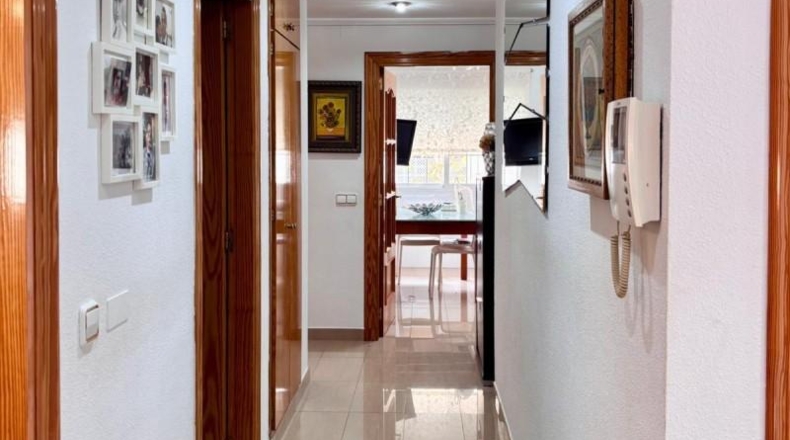 Murcia - Molina de Segura - 382m2