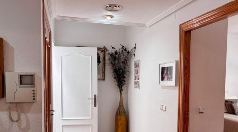 Murcia - Molina de Segura - 382m2